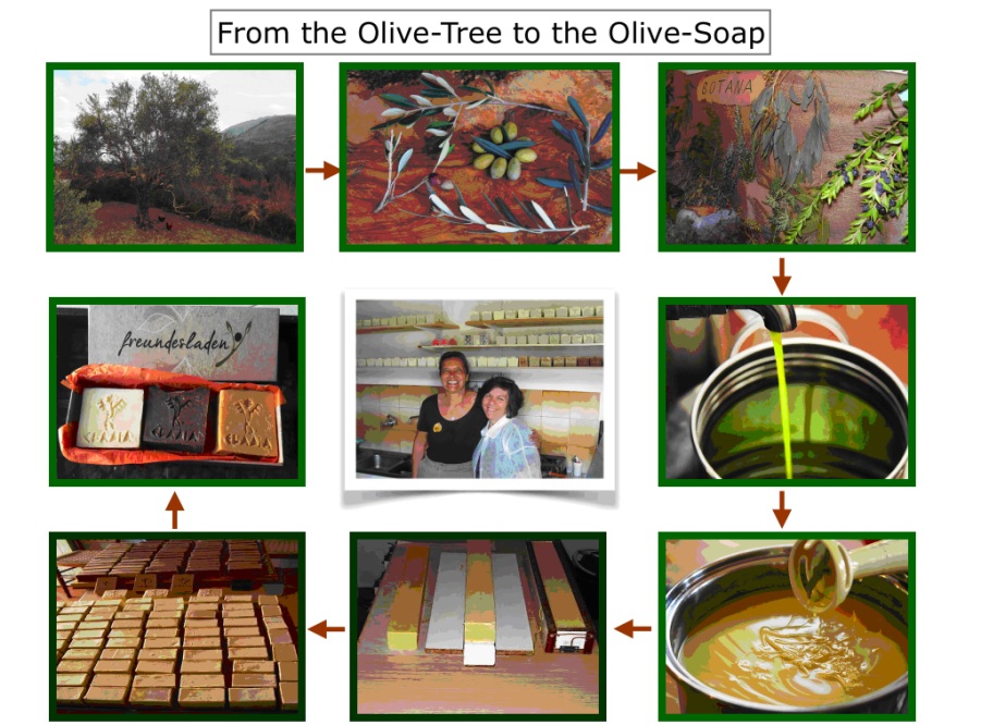 vom Olivenbaum zur Olivenseife